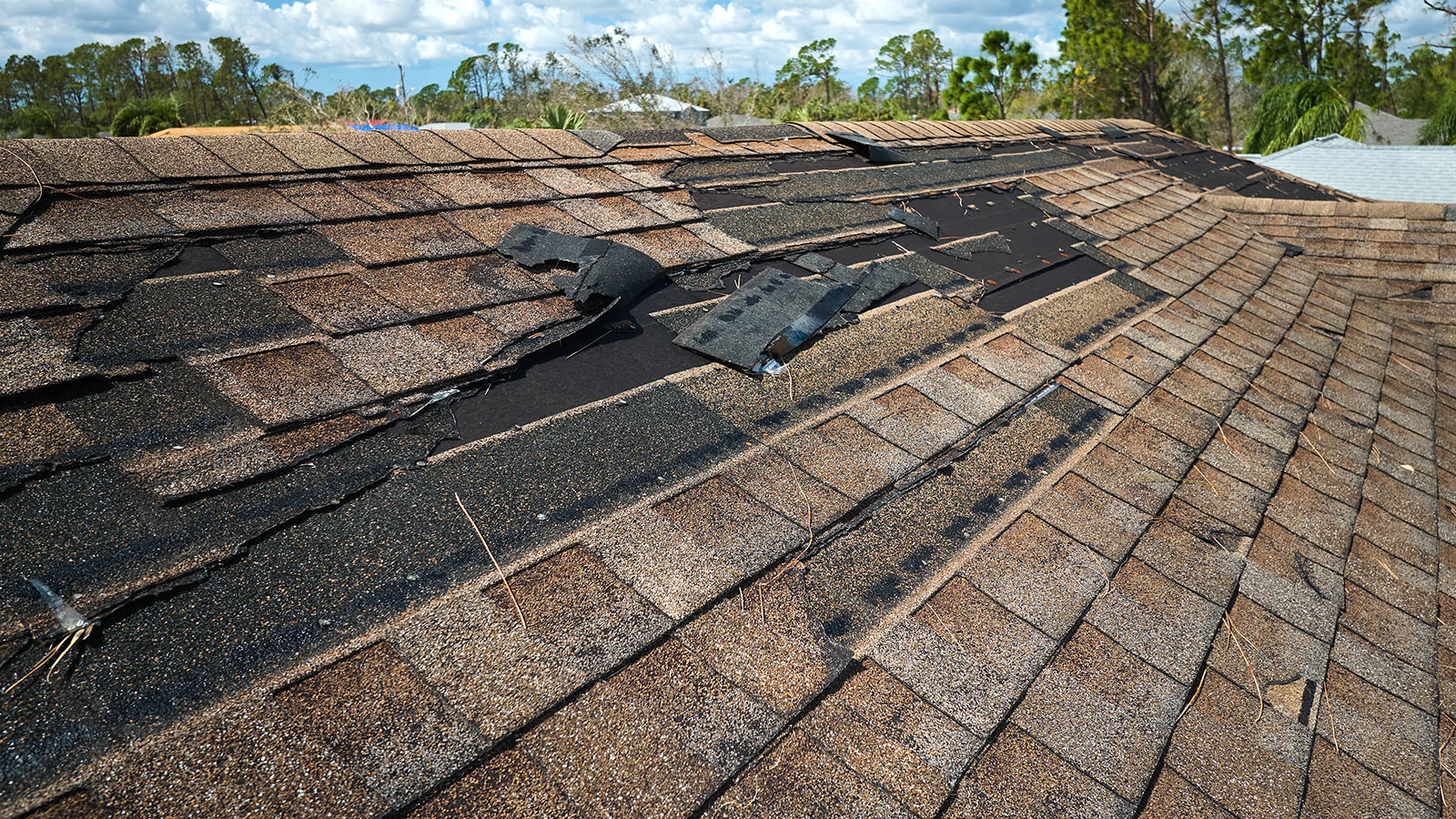 damaged roof