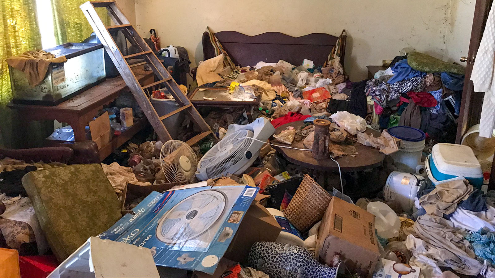 hoarding cleanup